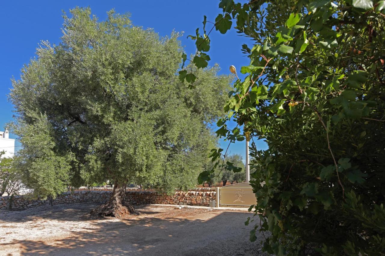 Dimora Torre Bianca Villa Остуни Екстериор снимка